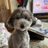 か さんのサムネイル