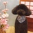 豆すけ さんのサムネイル