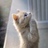 信天翁 さんのサムネイル
