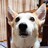 西さん さんのサムネイル