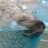 京都人 さんのサムネイル
