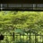 Hayashi
