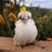 茶柱 さんのサムネイル