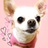 菅谷祐加子 さんのサムネイル