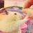 純子 さんのサムネイル
