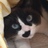 井田清美 さんのサムネイル
