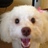 Hozumi Oki さんのサムネイル