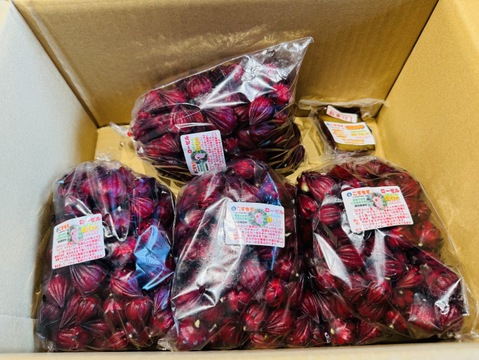 豆乳で育ったローゼル　1袋500g　2袋まで同梱可能