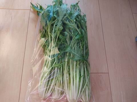 ✨農薬・化成肥料不使用の珍しい野菜カーボロネロ300g+水菜500g+高菜300g✨