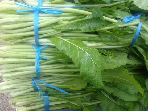 【雪下野沢菜】雪下になって旨みアップ！発祥の地域産、5kg