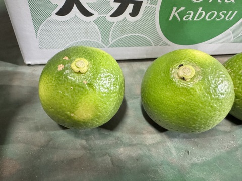期間限定‼️】大分県産 小玉種無しかぼす 箱込み2キロ：大分県産の