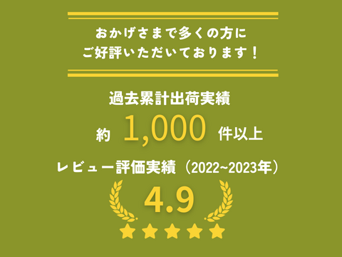 《家庭用》ナガノパープル（２〜３房）長野県須坂市産・クール便