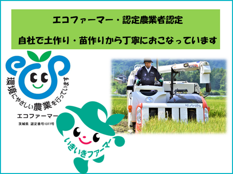 【令和7年産】茨城県産ミルキークイーン　ほたる玄米30㎏