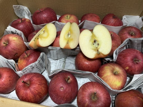 りんご　サンふじ　約６８％　農薬カット　20-25個くらい　小玉多め　キズ等、黒点、虫食い混じり多め