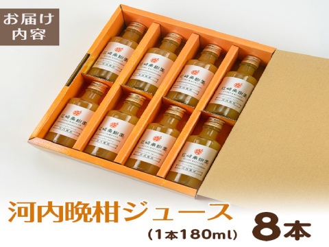 【夏ギフト】贅沢飲み切りタイプ！河内晩柑ストレートジュース　8本セット