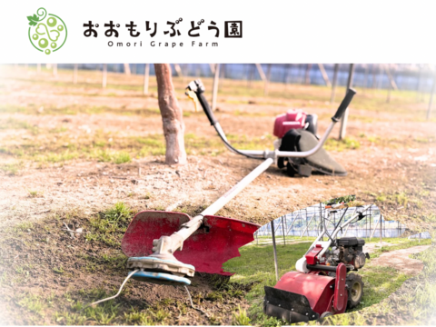 【7月下旬収穫】【ご贈答用】2.4kg　岡山県産シャインマスカット　600g前後×4房