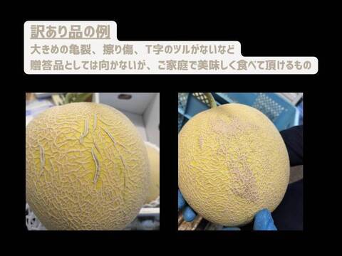 【訳アリ品】極上メロン 渥美の陽光-HIKARI-(1.5kg２玉入)