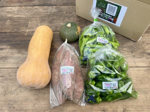 ☆有機JAS認証☆季節の彩り野菜セット