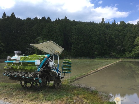 奥三河つくで産 特Aミネアサヒ(5kg)