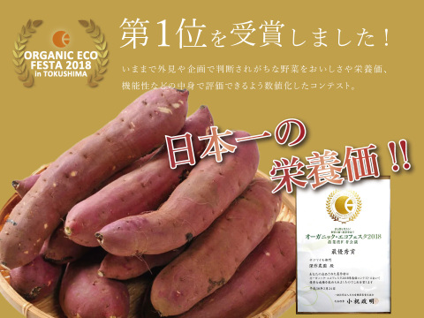 【訳ありB品】上品な甘さ！しっとり食感！さつまいも『紅はるか』【5kg】【茨城県産】日本一のサツマイモと評価を受けた高栄養価！さつま芋(うすく土付き)