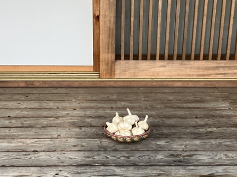 自然栽培　乾燥にんにく　箱込5Kg