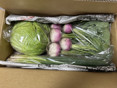 【選べる】オーガニック野菜セット(9品)