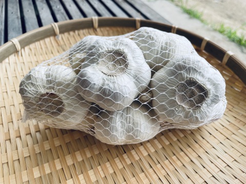 農薬・化学肥料栽培中不使用！栄養満点のニンニク500g