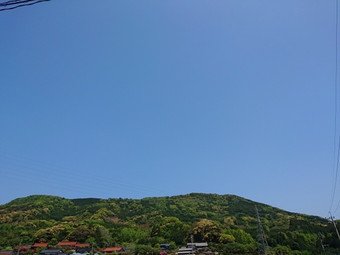 ハウス栽培！「不知火」
～家庭用個包装3㌔～　　　合計12個前後