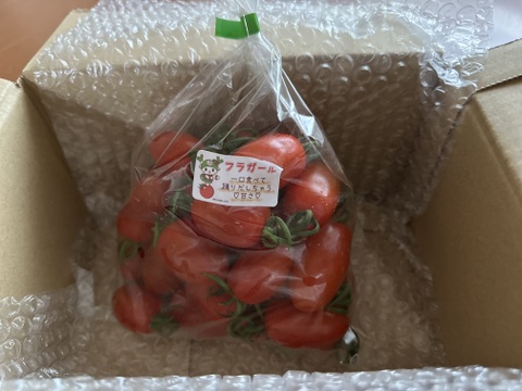 食味を極限まで追求した！フラガールトマト　500g