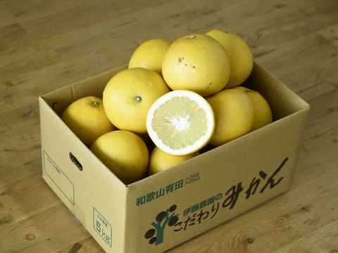 プリプリとした食感と爽やかな甘み　文旦（ぶんたん）【家庭用(訳あり)】[5kg]　336-3