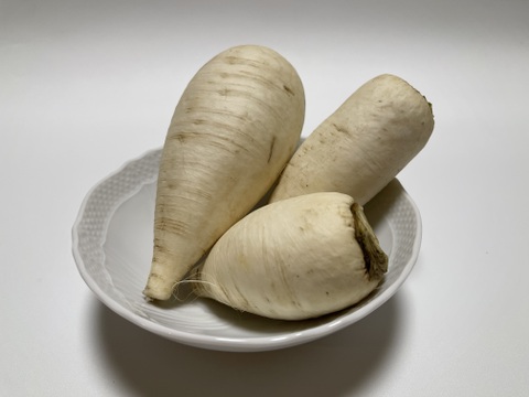 おろしそばに最適! 福井県産 辛味大根(品種名:からいね) 4kg