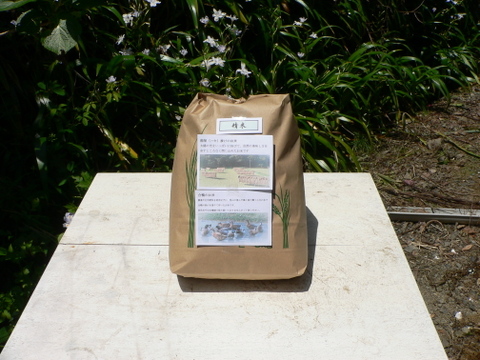 令和７年産 いのちの壱 白米３kg【はせ掛け合鴨米】農薬化学肥料不使用