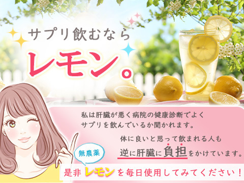 朝採れ新鮮レモン　2.7キロ  瀬戸内レモン