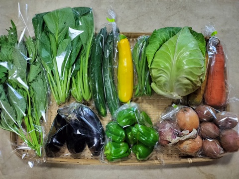 【10日分の野菜！】旬の野菜セット９～１２品【農薬・化学肥料不使用】