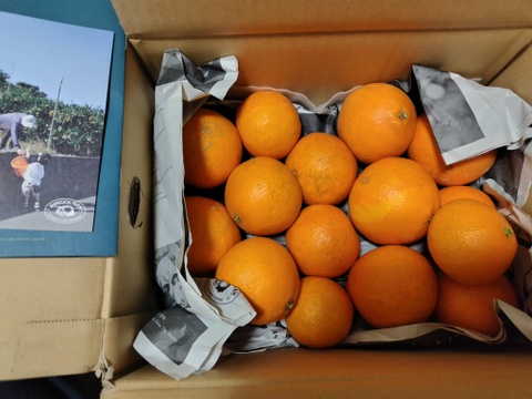 【訳ありだけど美味しさそのまま】まどんな 3kg 【ゼリーのようなプルプル食感】