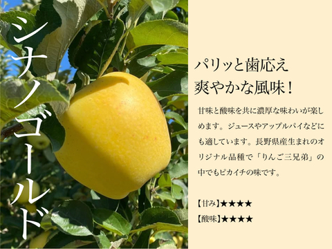 【2026年予約】『シナノゴールド』 家庭用　食感パリッとジューシーなりんご！3kg