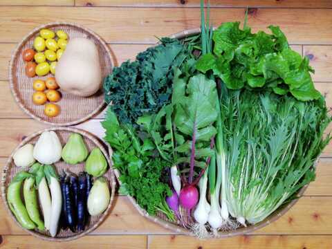 【農薬化学肥料不使用】カラマンシー入り野菜セット【８種類以上の野菜】【金曜日発送】【熨斗(のし)対応可】【８０サイズ箱】