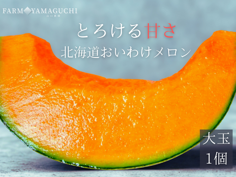 ギフトに大人気 【北海道メロン】 1玉入り　大玉
