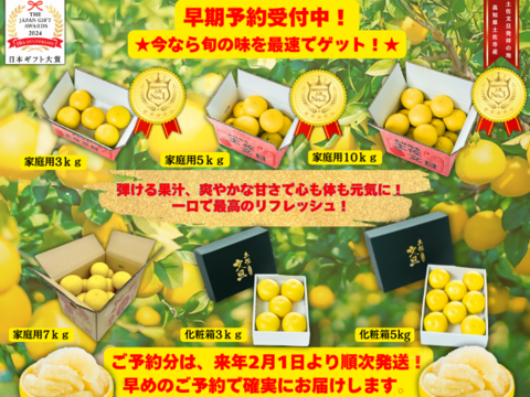 土佐文旦 ぶんたん ブンタン 高知 訳あり 家庭用 大玉 5kg【日本ギフト大賞受賞】 園主こだわり土佐文旦【予約早割10％OFF】（2025年2月1日発送開始 ）みかん 国産みかん 果物 柑橘