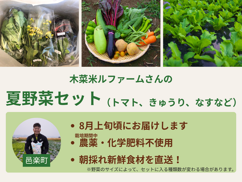 【限定30セット】旬をまるかじり！群馬 夏野菜のとれたて便（食べチョク公式）