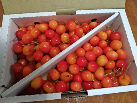 【紅秀峰】家庭用1kgバラ詰め♪たっぷり大満足の食べ応え✨