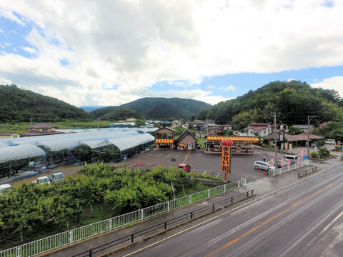 まるせい果樹園の柿　刀根早生　2.5キロ　（8～16個）自家用　家庭用　贈答用