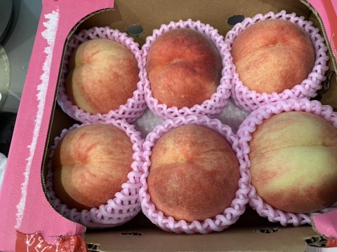 🍑【2025年8月下旬桃】1.5kg　5玉前後【ASIAGAP認証農場：津軽農園】　　安心・安全な桃　収穫した日に発送　家庭用　農家直送