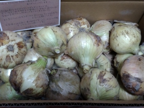 【訳あり】淡路島玉ねぎ！5キロ　1番人気