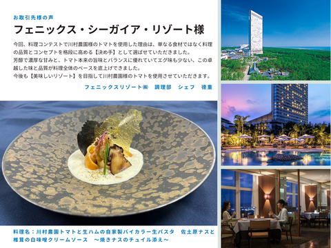 （期間限定１．５kg）『これがトマト？！』ごほうびのフルーツミニトマト はじけるジューシーな味わい！