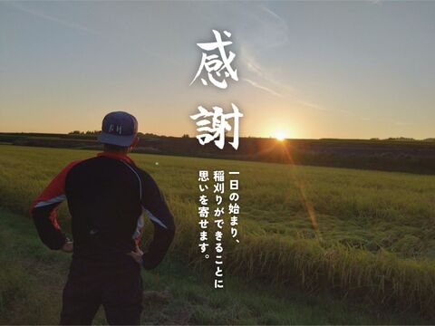 【農家直販！】令和7年産 魚沼産こしひかり玄米30kg