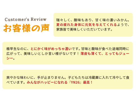 YN26（みかん）家庭用5kg｜和歌山で生まれた温州みかんの有望品種を産地直送でお届け