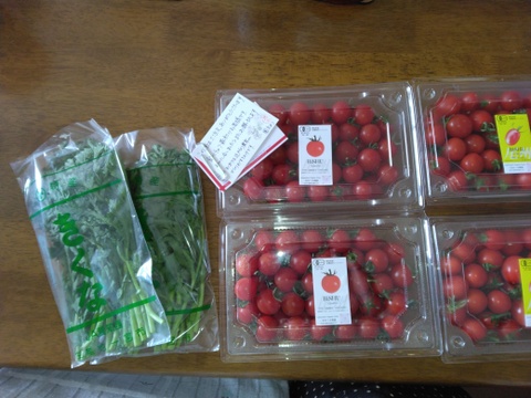 イチオシ♪ 尾州トマト ２種食べ比べ【５００g×４Ｐ】