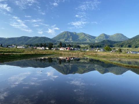 甘みが強い！☆新米 令和6年産☆長野県木島平産コシヒカリ白米5kg