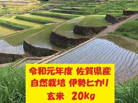 【令和元年新米】無農薬!自然栽培!佐賀県産!「伊勢ヒカリ」玄米20kg